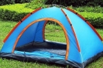 Лесни шатори: карактеристики и карактеристики на селекција