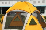 Кујнски шатор: карактеристики и сорти